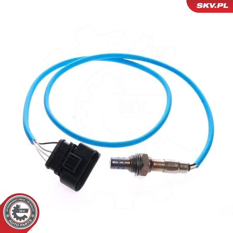 09SKV045 SKV